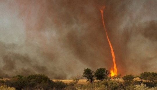 Frightening wonders of nature: What a fire tornado looks like