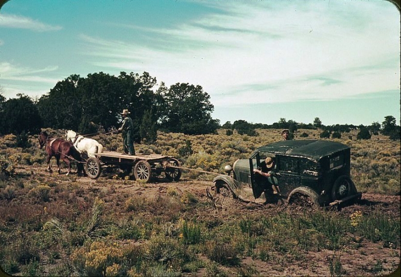 From horses to " Ford»: how the Wild West was "domesticated"