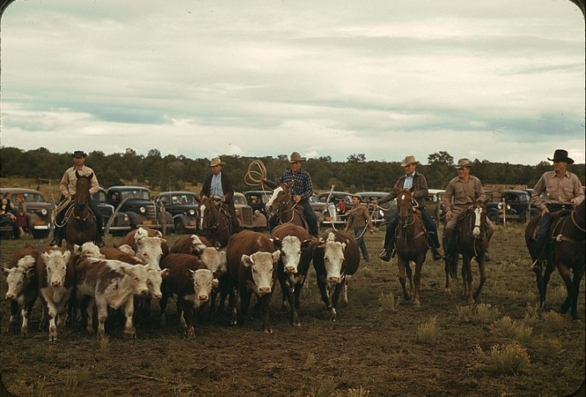 From horses to " Ford»: how the Wild West was "domesticated"
