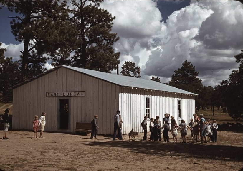 From horses to " Ford»: how the Wild West was "domesticated"