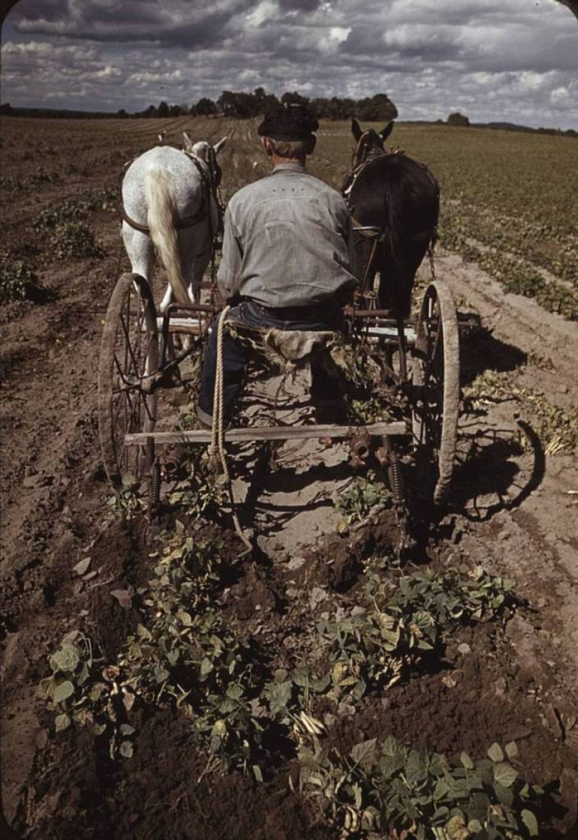 From horses to " Ford»: how the Wild West was "domesticated"