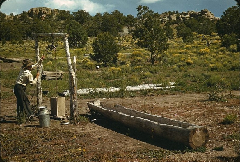 From horses to " Ford»: how the Wild West was "domesticated"