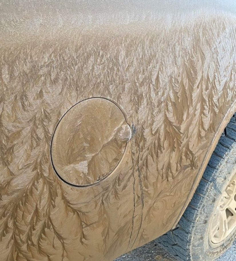 From Malachite to Zimbabwe's Trillion: 22 Amazing Photos You Don't See Every Day From Malachite to Zimbabwe's Trillion: 22 Amazing Photos You Don't See Every Day