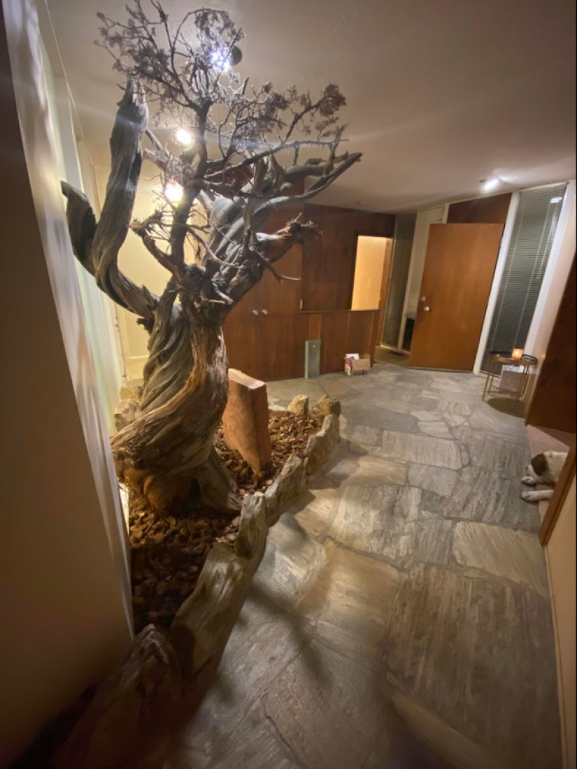 From Malachite to Zimbabwe's Trillion: 22 Amazing Photos You Don't See Every Day From Malachite to Zimbabwe's Trillion: 22 Amazing Photos You Don't See Every Day