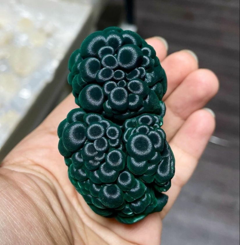 From Malachite to Zimbabwe's Trillion: 22 Amazing Photos You Don't See Every Day From Malachite to Zimbabwe's Trillion: 22 Amazing Photos You Don't See Every Day