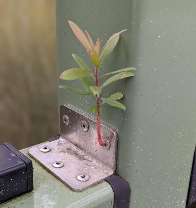 From Malachite to Zimbabwe's Trillion: 22 Amazing Photos You Don't See Every Day From Malachite to Zimbabwe's Trillion: 22 Amazing Photos You Don't See Every Day