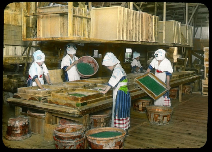 From the Bush to the consumer: how did the production of tea in Japan and the beginning of XX century