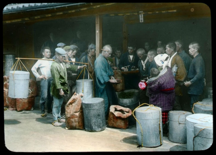 From the Bush to the consumer: how did the production of tea in Japan and the beginning of XX century