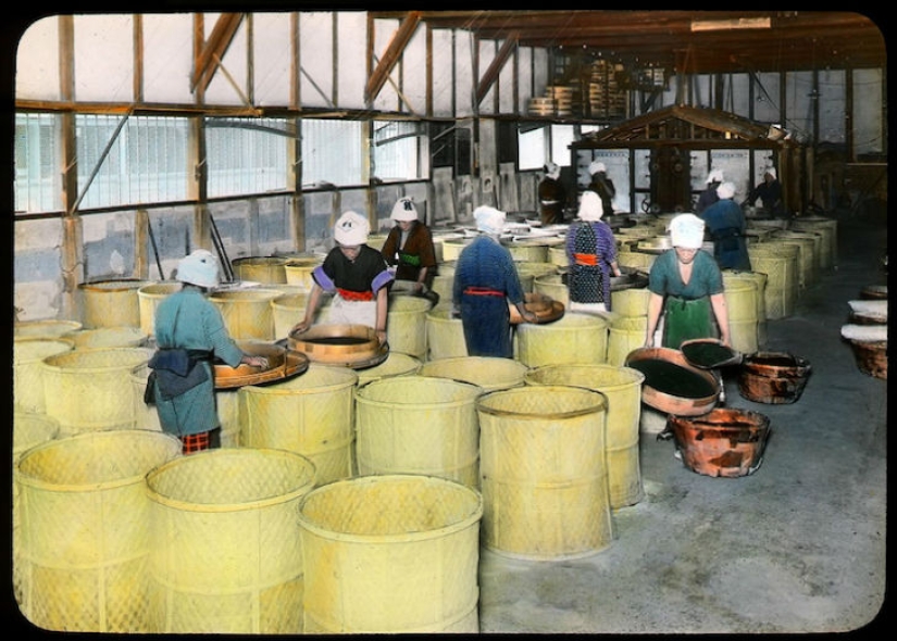 From the Bush to the consumer: how did the production of tea in Japan and the beginning of XX century