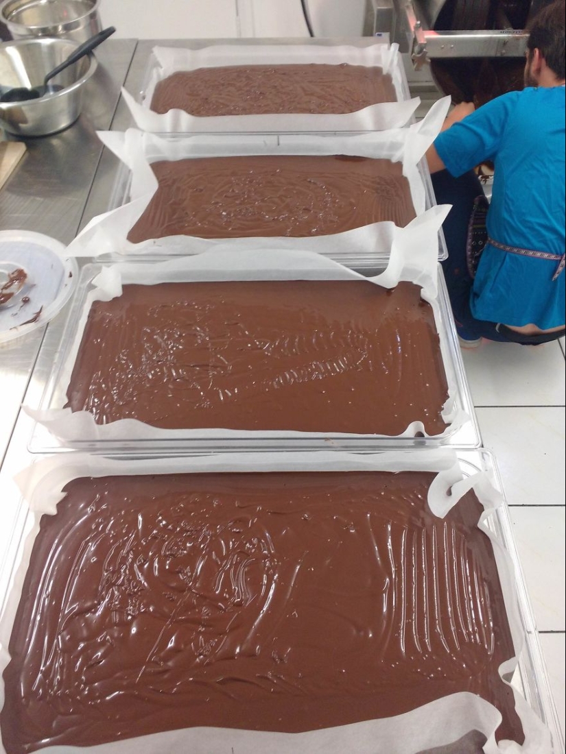 From the pods on the tree to the finished chocolate bar: how do craftsy chocolate