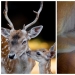From these photos it is warmer From these photos it is warmer
