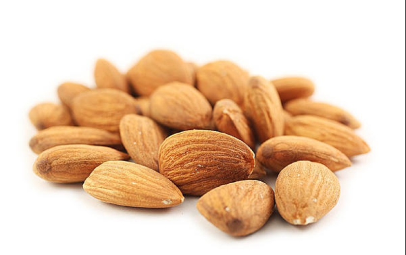 Frutos secos útiles y sus propiedades