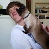 Funny animals that need the attention of the owner right now Funny animals that need the attention of the owner right now