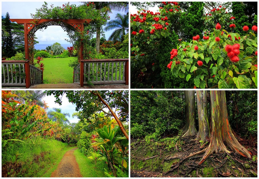 Gardens of Maui Gardens of Maui