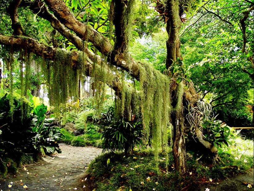 Gardens of Maui Gardens of Maui