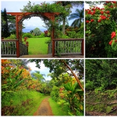 Gardens of Maui