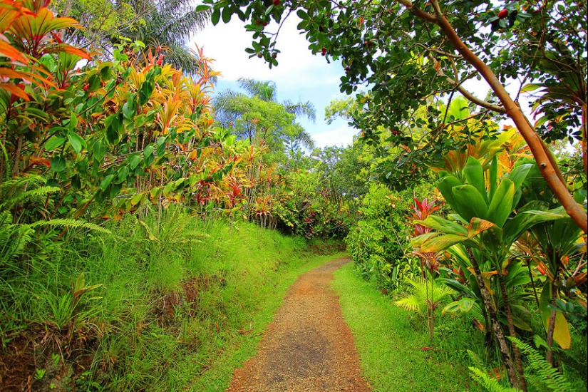 Gardens of Maui Gardens of Maui