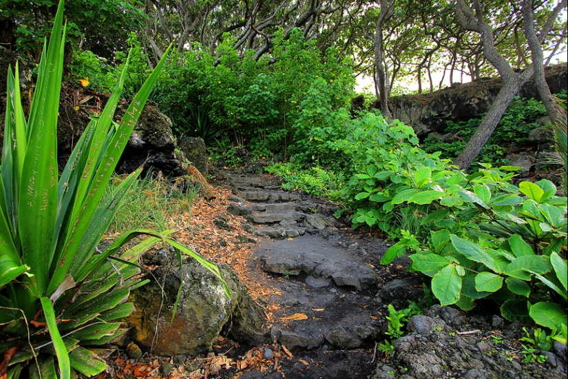 Gardens of Maui Gardens of Maui