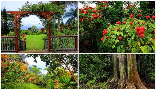 Gardens of Maui Gardens of Maui