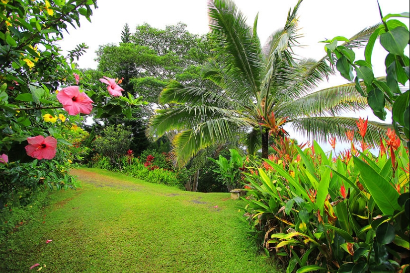 Gardens of Maui Gardens of Maui
