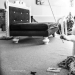 Gatos italianos que van a trabajar como en casa Gatos italianos que van a trabajar como en casa