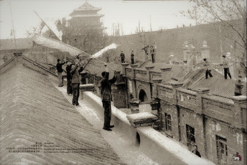 Genocidio de aves: cómo la naturaleza se vengó de los chinos por el exterminio de los gorriones Genocidio de aves: cómo la naturaleza se vengó de los chinos por el exterminio de los gorriones
