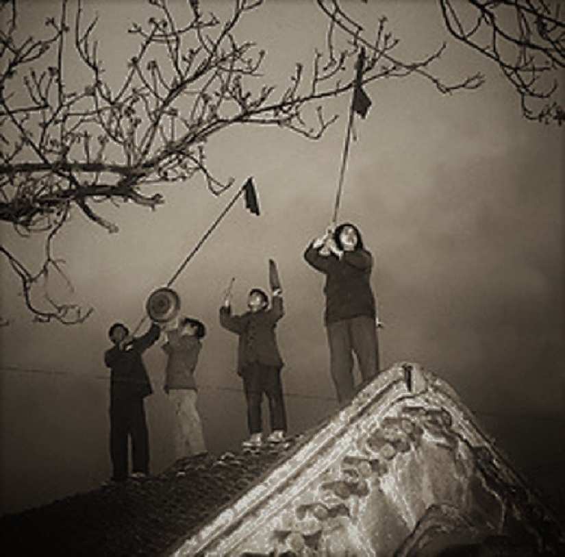 Genocidio de aves: cómo la naturaleza se vengó de los chinos por el exterminio de los gorriones Genocidio de aves: cómo la naturaleza se vengó de los chinos por el exterminio de los gorriones