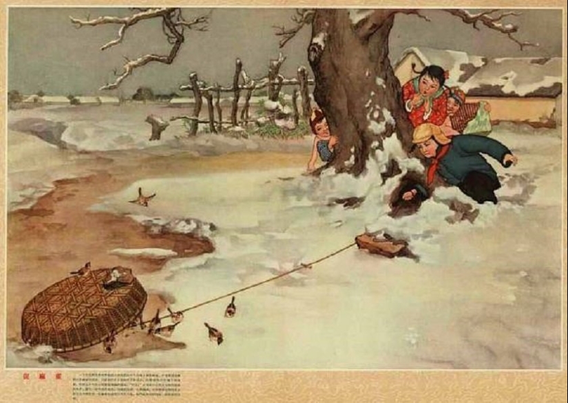 Genocidio de aves: cómo la naturaleza se vengó de los chinos por el exterminio de los gorriones Genocidio de aves: cómo la naturaleza se vengó de los chinos por el exterminio de los gorriones