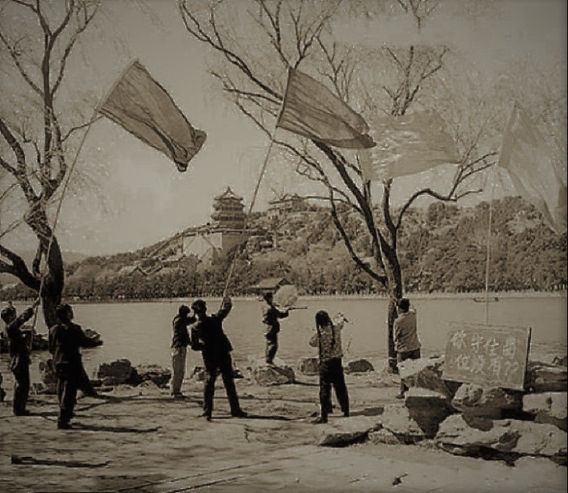 Genocidio de aves: cómo la naturaleza se vengó de los chinos por el exterminio de los gorriones Genocidio de aves: cómo la naturaleza se vengó de los chinos por el exterminio de los gorriones