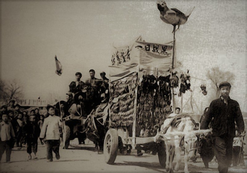 Genocidio de aves: cómo la naturaleza se vengó de los chinos por el exterminio de los gorriones Genocidio de aves: cómo la naturaleza se vengó de los chinos por el exterminio de los gorriones