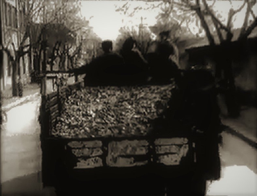 Genocidio de aves: cómo la naturaleza se vengó de los chinos por el exterminio de los gorriones Genocidio de aves: cómo la naturaleza se vengó de los chinos por el exterminio de los gorriones