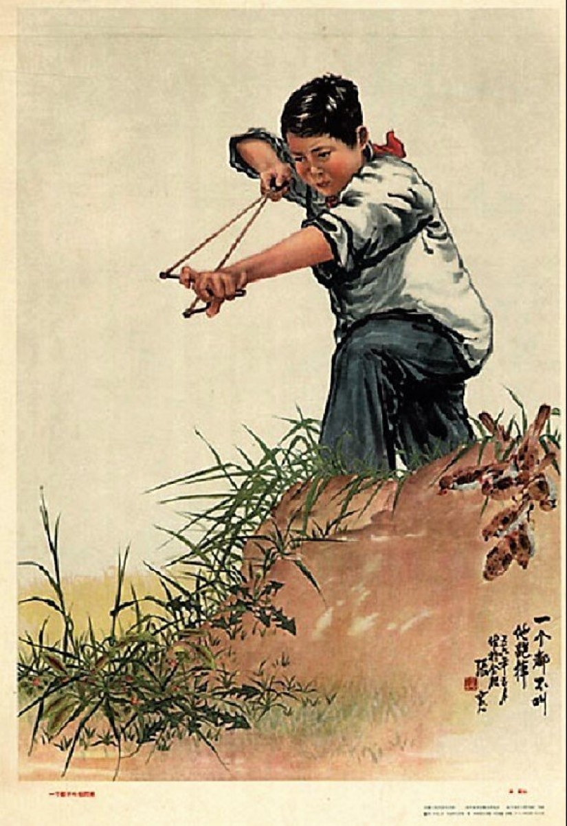 Genocidio de aves: cómo la naturaleza se vengó de los chinos por el exterminio de los gorriones Genocidio de aves: cómo la naturaleza se vengó de los chinos por el exterminio de los gorriones