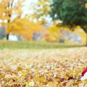 Gentle erotic photo shoots in the autumn landscape Gentle erotic photo shoots in the autumn landscape