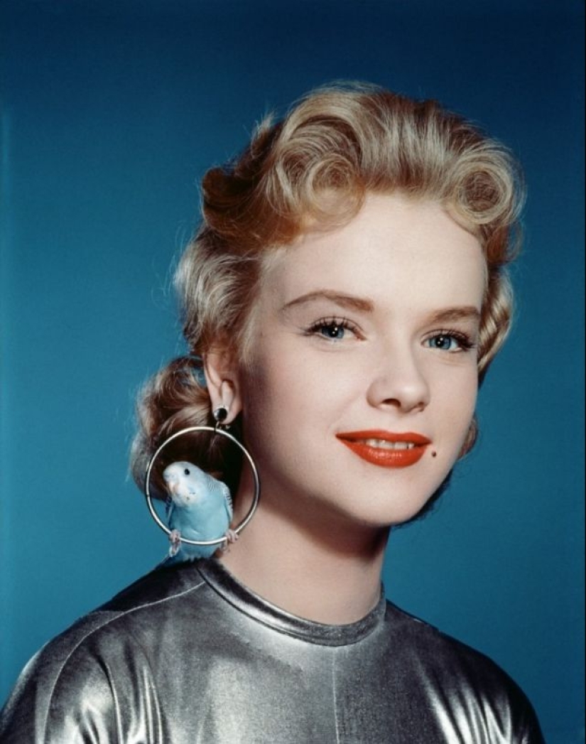 Gentlemen prefer blondes: 17 star beauties from the 50s, for whom our grandfathers could pine