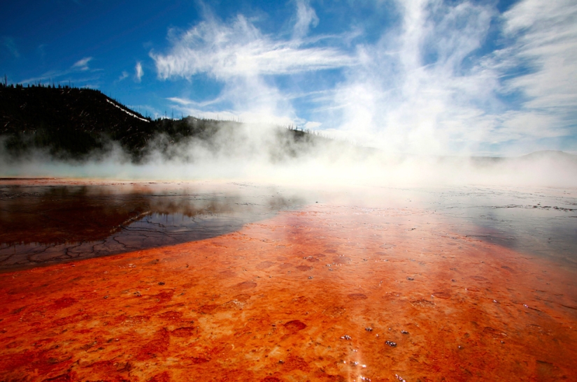 Geysers, bison, and other sights of Yellowstone