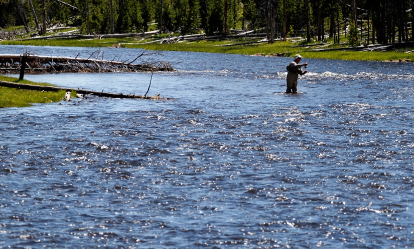Geysers, bison, and other sights of Yellowstone