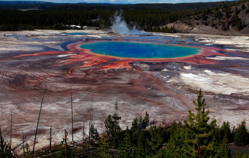 Geysers, bison, and other sights of Yellowstone
