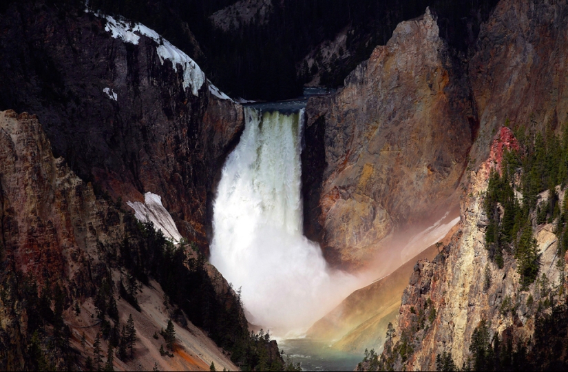 Geysers, bison, and other sights of Yellowstone