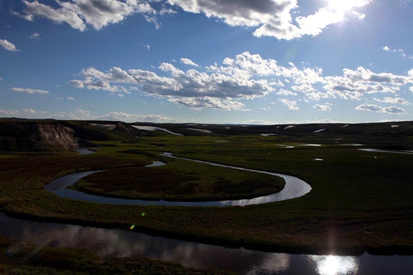 Geysers, bison, and other sights of Yellowstone