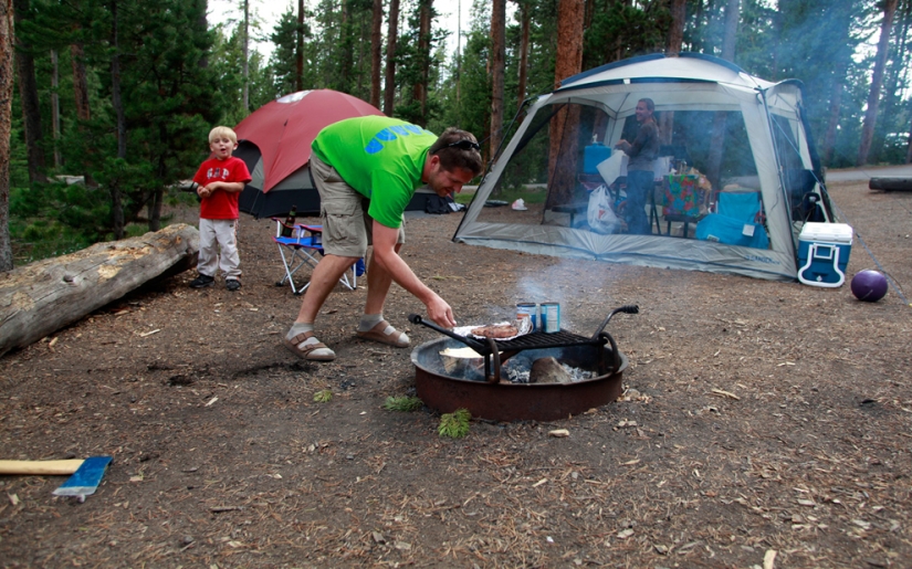 Geysers, bison, and other sights of Yellowstone