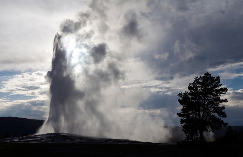 Geysers, bison, and other sights of Yellowstone