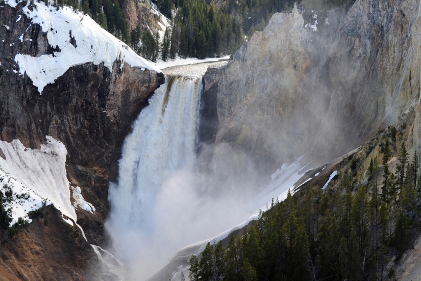 Geysers, bison, and other sights of Yellowstone