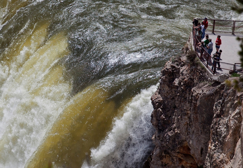 Geysers, bison, and other sights of Yellowstone