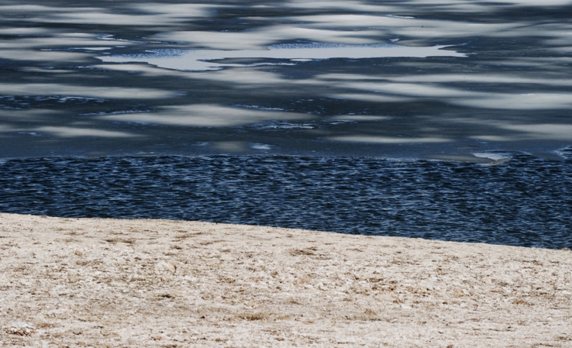 Geysers, bison, and other sights of Yellowstone