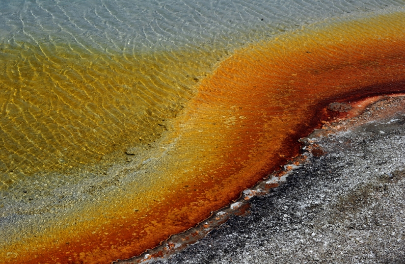 Geysers, bison, and other sights of Yellowstone