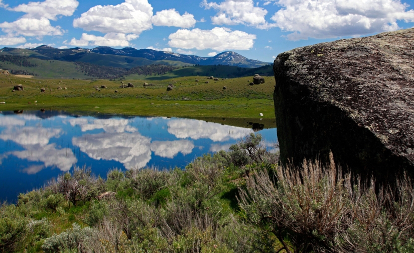 Geysers, bison, and other sights of Yellowstone