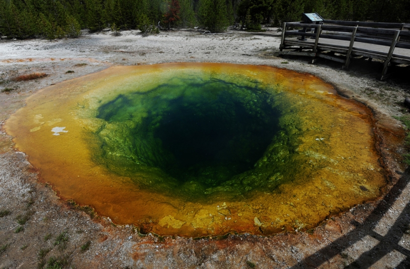 Geysers, bison, and other sights of Yellowstone