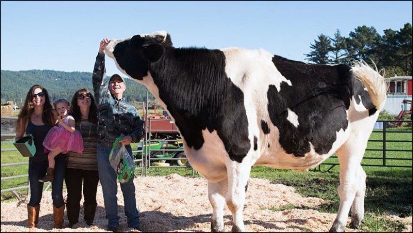 Gigantes y enanos de el mundo de los animales: los contrastes son evidentes sólo cuando se comparan