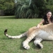Gigantes y enanos de el mundo de los animales: los contrastes son evidentes sólo cuando se comparan Gigantes y enanos de el mundo de los animales: los contrastes son evidentes sólo cuando se comparan