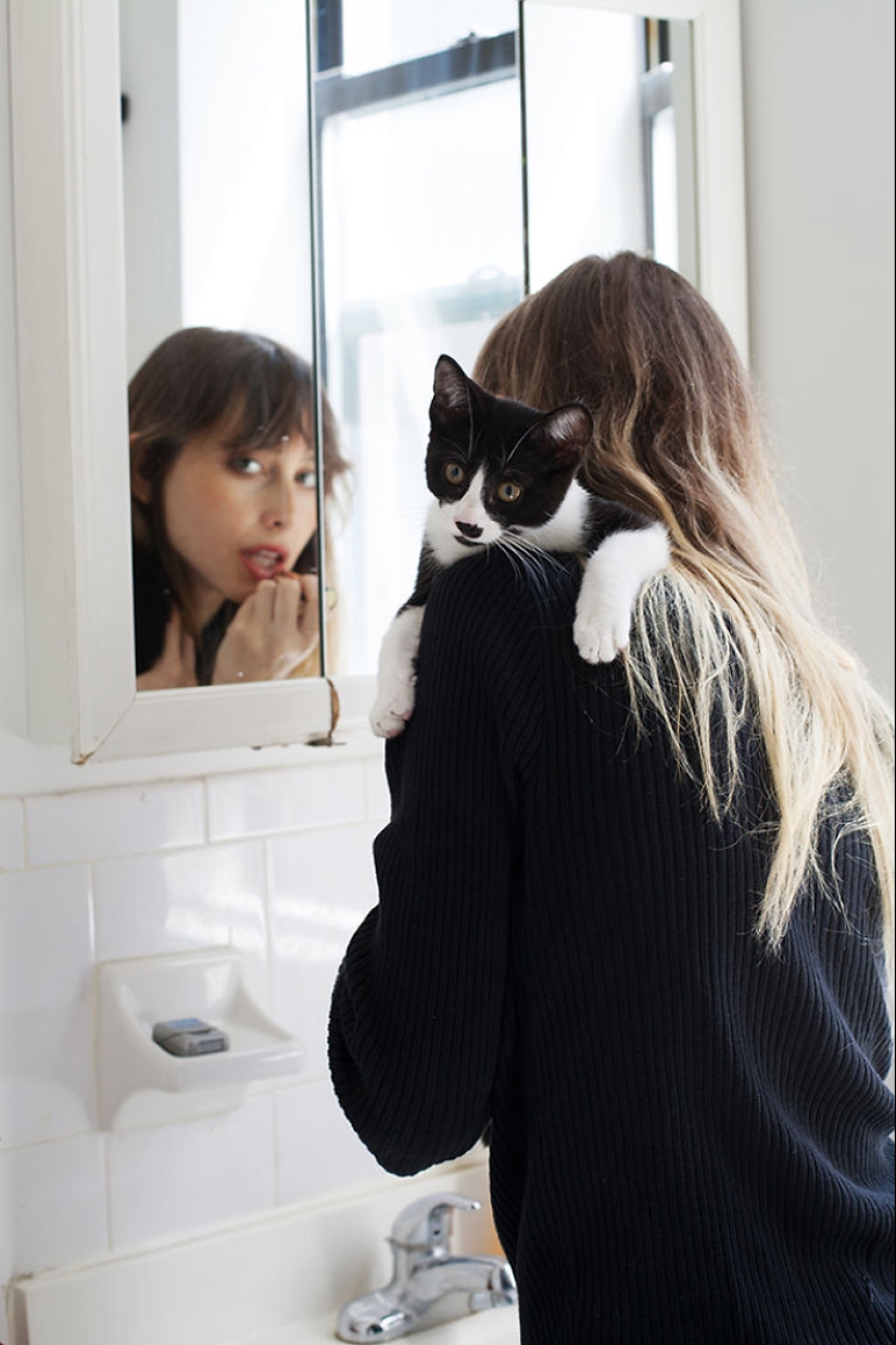 Girl, sheltered homeless cats